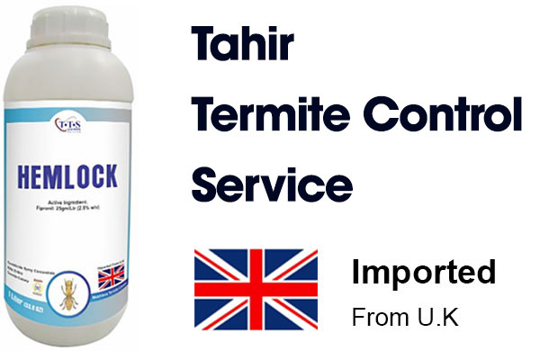 Tahir Termite Control Service