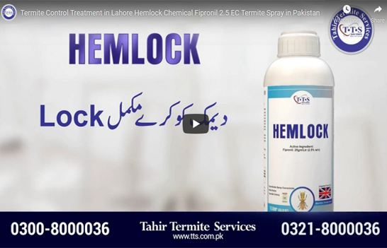 HEMLOCK Termite Control Spray