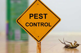 Pest Control 