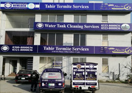 Gallery Termite Control 